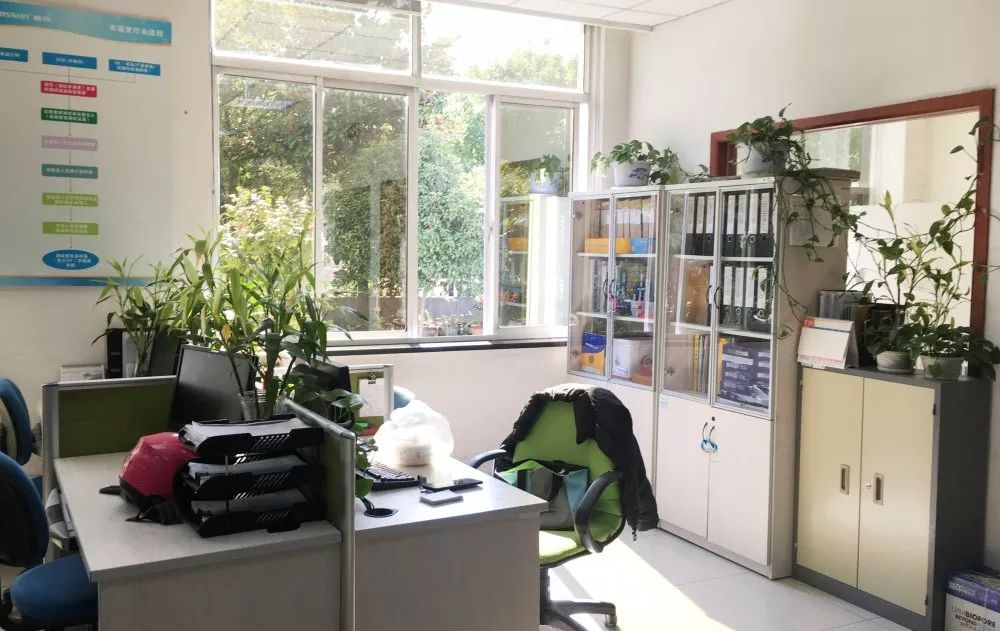 公海彩船·6600(中国游)官方网站