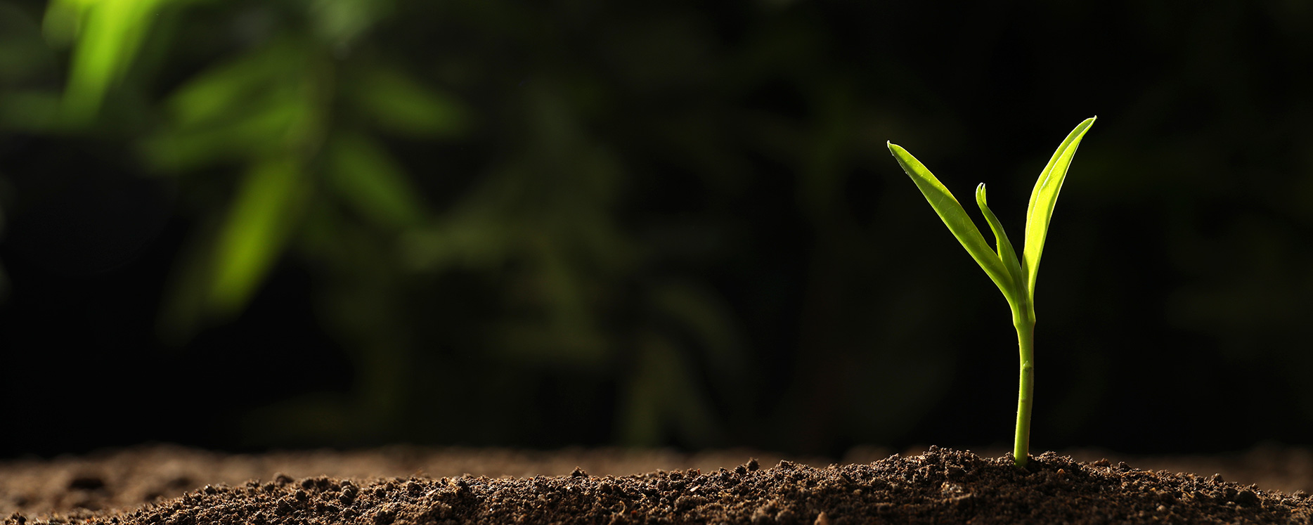 公海彩船·6600(中国游)官方网站